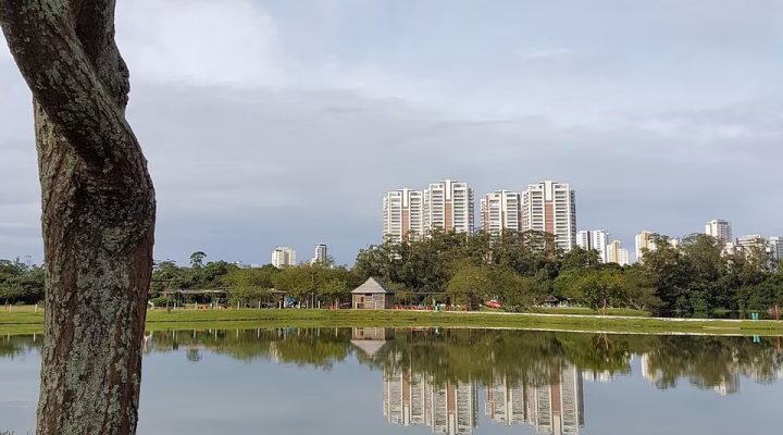 park, sunday, brazil, mogi